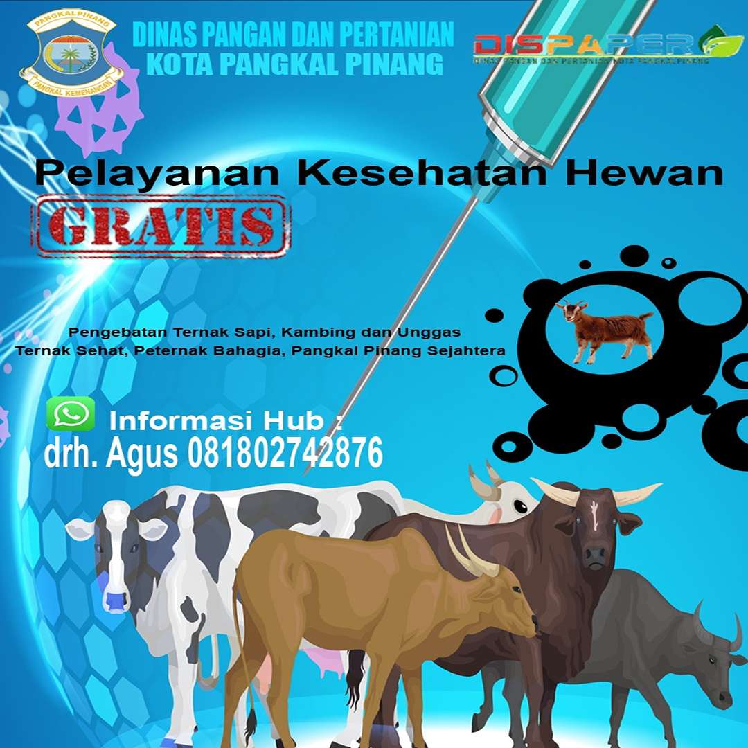 WhatsApp Image 2025-06-30 at 15.00.35 (2)_11zon